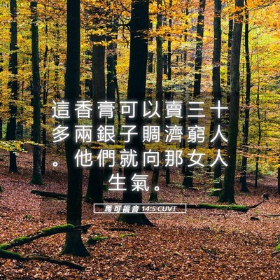 Picture 05 - 馬 可 福 音 14:5 CUVT - 這 香 膏 可 以 賣 三 十 多 兩 銀 子 - Bible Verse Picture
