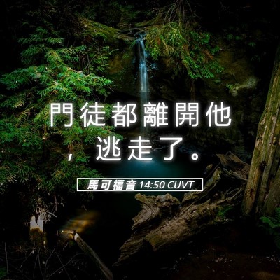 Picture 05 - 馬 可 福 音 14:50 CUVT - 門 徒 都 離 開 他 ， 逃 走 了 - Bible Verse Picture