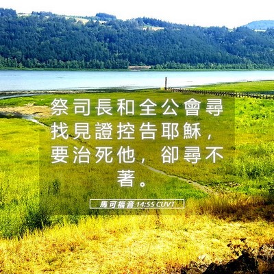 Picture 05 - 馬 可 福 音 14:55 CUVT - 祭 司 長 和 全 公 會 尋 找 見 證 控 - Bible Verse Picture