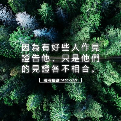 Picture 05 - 馬 可 福 音 14:56 CUVT - 因 為 有 好 些 人 作 見 證 告 他 ， - Bible Verse Picture