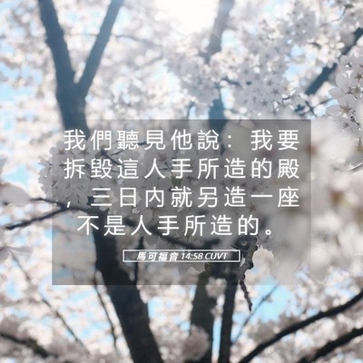 Picture 05 - 馬 可 福 音 14:58 CUVT - 我 們 聽 見 他 說 ： 我 要 拆 毀 這 - Bible Verse Picture