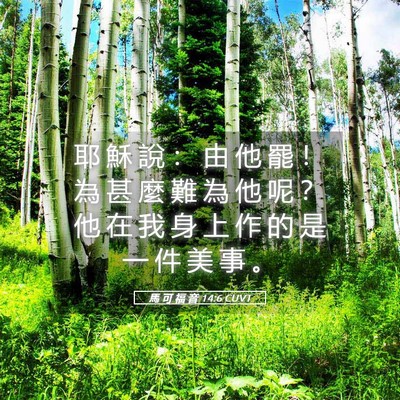 Picture 05 - 馬 可 福 音 14:6 CUVT - 耶 穌 說 ： 由 他 罷 ！ 為 甚 麼 難 - Bible Verse Picture