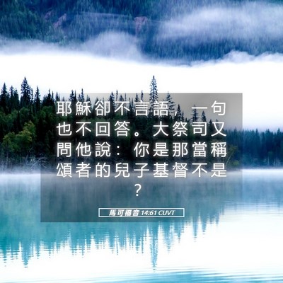 Picture 05 - 馬 可 福 音 14:61 CUVT - 耶 穌 卻 不 言 語 ， 一 句 也 不 回 - Bible Verse Picture