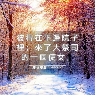 Picture 05 - 馬 可 福 音 14:66 CUVT - 彼 得 在 下 邊 院 子 裡 ； 來 了 大 - Bible Verse Picture