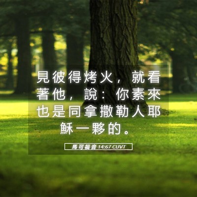 Picture 05 - 馬 可 福 音 14:67 CUVT - 見 彼 得 烤 火 ， 就 看 著 他 ， 說 - Bible Verse Picture