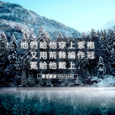 Picture 05 - 馬 可 福 音 15:17 CUVT - 他 們 給 他 穿 上 紫 袍 ， 又 用 荊 - Bible Verse Picture