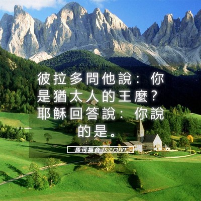 Picture 05 - 馬 可 福 音 15:2 CUVT - 彼 拉 多 問 他 說 ： 你 是 猶 太 人 - Bible Verse Picture