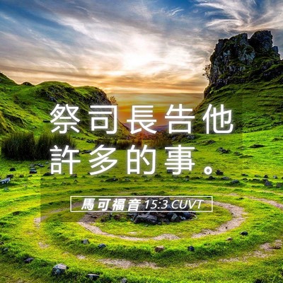 Picture 05 - 馬 可 福 音 15:3 CUVT - 祭 司 長 告 他 許 多 的 事 - Bible Verse Picture