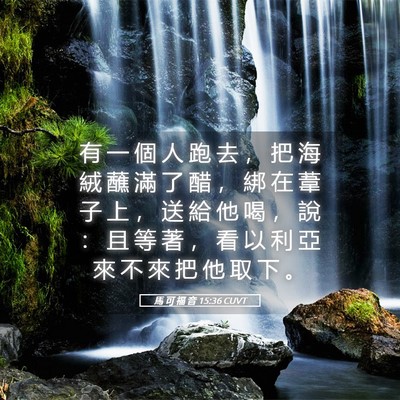 Picture 05 - 馬 可 福 音 15:36 CUVT - 有 一 個 人 跑 去 ， 把 海 絨 蘸 滿 - Bible Verse Picture