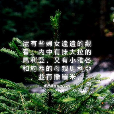Picture 05 - 馬 可 福 音 15:40 CUVT - 還 有 些 婦 女 遠 遠 的 觀 看 ； 內 - Bible Verse Picture