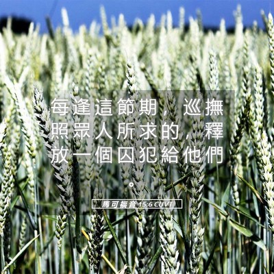 Picture 05 - 馬 可 福 音 15:6 CUVT - 每 逢 這 節 期 ， 巡 撫 照 眾 人 所 - Bible Verse Picture