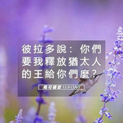 Picture 05 - 馬 可 福 音 15:9 CUVT - 彼 拉 多 說 ： 你 們 要 我 釋 放 猶 - Bible Verse Picture