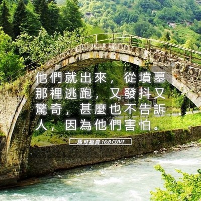 Picture 05 - 馬 可 福 音 16:8 CUVT - 他 們 就 出 來 ， 從 墳 墓 那 裡 逃 - Bible Verse Picture