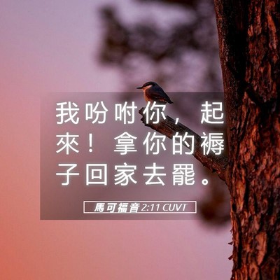Picture 05 - 馬 可 福 音 2:11 CUVT - 我 吩 咐 你 ， 起 來 ！ 拿 你 的 褥 - Bible Verse Picture