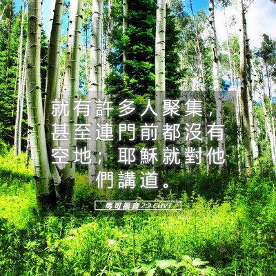 Picture 05 - 馬 可 福 音 2:2 CUVT - 就 有 許 多 人 聚 集 ， 甚 至 連 門 - Bible Verse Picture