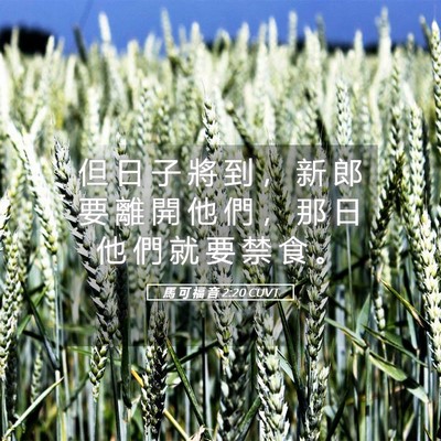 Picture 05 - 馬 可 福 音 2:20 CUVT - 但 日 子 將 到 ， 新 郎 要 離 開 他 - Bible Verse Picture