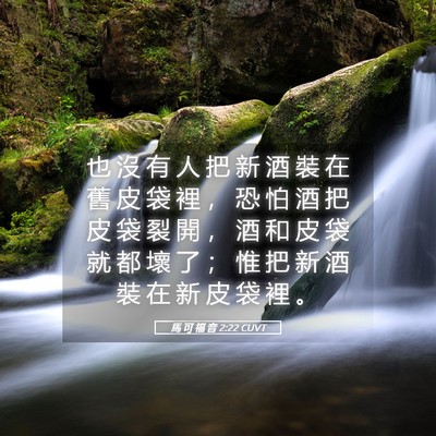 Picture 05 - 馬 可 福 音 2:22 CUVT - 也 沒 有 人 把 新 酒 裝 在 舊 皮 袋 - Bible Verse Picture