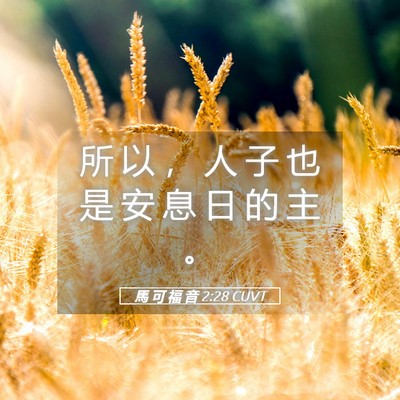 Picture 05 - 馬 可 福 音 2:28 CUVT - 所 以 ， 人 子 也 是 安 息 日 的 主 - Bible Verse Picture
