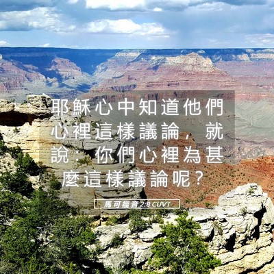 Picture 05 - 馬 可 福 音 2:8 CUVT - 耶 穌 心 中 知 道 他 們 心 裡 這 樣 - Bible Verse Picture