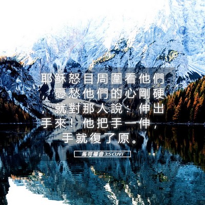 Picture 05 - 馬 可 福 音 3:5 CUVT - 耶 穌 怒 目 周 圍 看 他 們 ， 憂 愁 - Bible Verse Picture