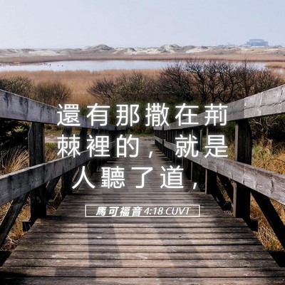 Picture 05 - 馬 可 福 音 4:18 CUVT - 還 有 那 撒 在 荊 棘 裡 的 ， 就 是 - Bible Verse Picture