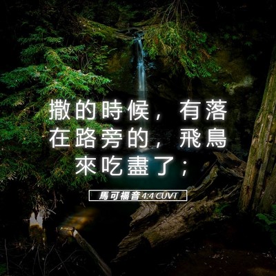 Picture 05 - 馬 可 福 音 4:4 CUVT - 撒 的 時 候 ， 有 落 在 路 旁 的 ， - Bible Verse Picture