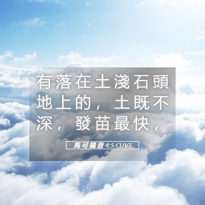 Picture 05 - 馬 可 福 音 4:5 CUVT - 有 落 在 土 淺 石 頭 地 上 的 ， 土 - Bible Verse Picture