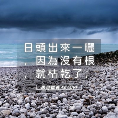Picture 05 - 馬 可 福 音 4:6 CUVT - 日 頭 出 來 一 曬 ， 因 為 沒 有 根 - Bible Verse Picture