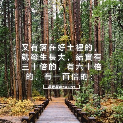 Picture 05 - 馬 可 福 音 4:8 CUVT - 又 有 落 在 好 土 裡 的 ， 就 發 生 - Bible Verse Picture