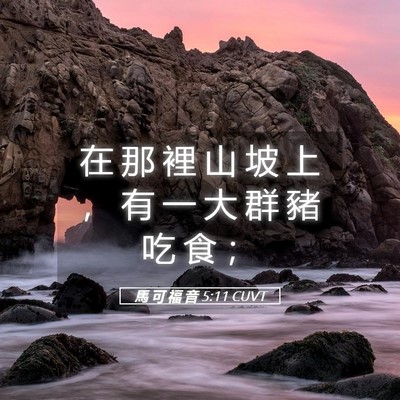 Picture 05 - 馬 可 福 音 5:11 CUVT - 在 那 裡 山 坡 上 ， 有 一 大 群 豬 - Bible Verse Picture