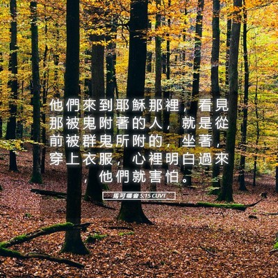 Picture 05 - 馬 可 福 音 5:15 CUVT - 他 們 來 到 耶 穌 那 裡 ， 看 見 那 - Bible Verse Picture