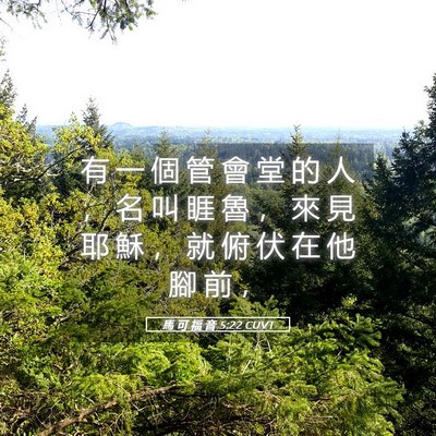 Picture 05 - 馬 可 福 音 5:22 CUVT - 有 一 個 管 會 堂 的 人 ， 名 叫 睚 - Bible Verse Picture