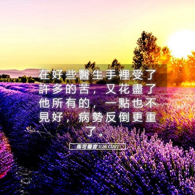 Picture 05 - 馬 可 福 音 5:26 CUVT - 在 好 些 醫 生 手 裡 受 了 許 多 的 - Bible Verse Picture