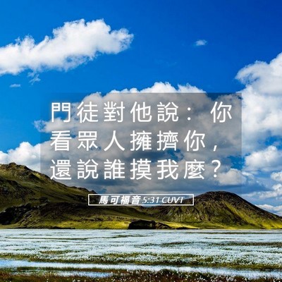 Picture 05 - 馬 可 福 音 5:31 CUVT - 門 徒 對 他 說 ： 你 看 眾 人 擁 擠 - Bible Verse Picture