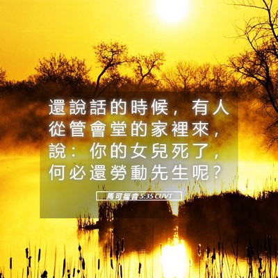 Picture 05 - 馬 可 福 音 5:35 CUVT - 還 說 話 的 時 候 ， 有 人 從 管 會 - Bible Verse Picture