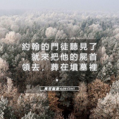 Picture 05 - 馬 可 福 音 6:29 CUVT - 約 翰 的 門 徒 聽 見 了 ， 就 來 把 - Bible Verse Picture