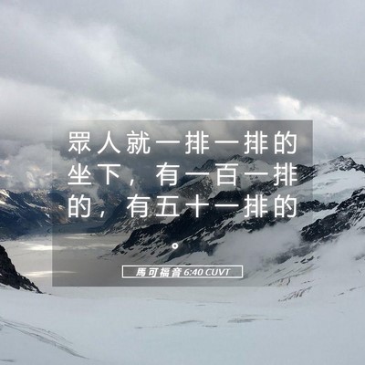 Picture 05 - 馬 可 福 音 6:40 CUVT - 眾 人 就 一 排 一 排 的 坐 下 ， 有 - Bible Verse Picture