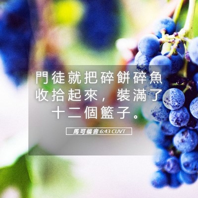Picture 05 - 馬 可 福 音 6:43 CUVT - 門 徒 就 把 碎 餅 碎 魚 收 拾 起 來 - Bible Verse Picture
