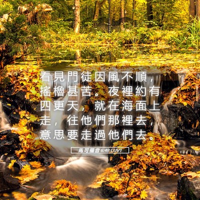Picture 05 - 馬 可 福 音 6:48 CUVT - 看 見 門 徒 因 風 不 順 ， 搖 櫓 甚 - Bible Verse Picture