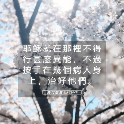 Picture 05 - 馬 可 福 音 6:5 CUVT - 耶 穌 就 在 那 裡 不 得 行 甚 麼 異 - Bible Verse Picture