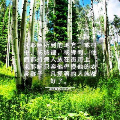 Picture 05 - 馬 可 福 音 6:56 CUVT - 凡 耶 穌 所 到 的 地 方 ， 或 村 中 - Bible Verse Picture