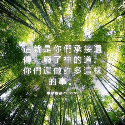 Picture 05 - 馬 可 福 音 7:13 CUVT - 這 就 是 你 們 承 接 遺 傳 ， 廢 了 - Bible Verse Picture