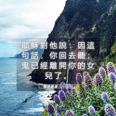 Picture 05 - 馬 可 福 音 7:29 CUVT - 耶 穌 對 他 說 ： 因 這 句 話 ， 你 - Bible Verse Picture