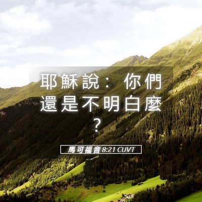 Picture 05 - 馬 可 福 音 8:21 CUVT - 耶 穌 說 ： 你 們 還 是 不 明 白 麼 - Bible Verse Picture
