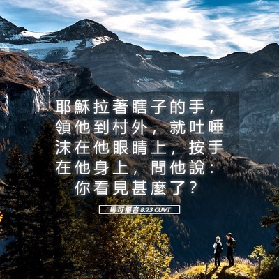 Picture 05 - 馬 可 福 音 8:23 CUVT - 耶 穌 拉 著 瞎 子 的 手 ， 領 他 到 - Bible Verse Picture