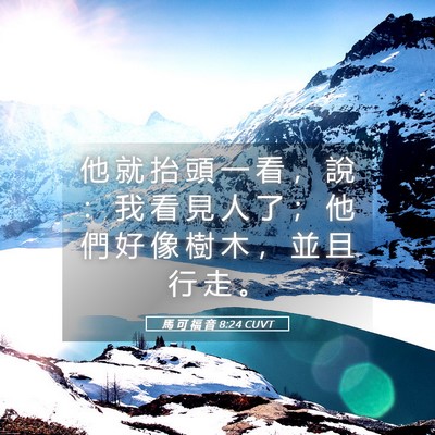 Picture 05 - 馬 可 福 音 8:24 CUVT - 他 就 抬 頭 一 看 ， 說 ： 我 看 見 - Bible Verse Picture