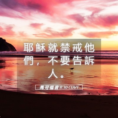 Picture 05 - 馬 可 福 音 8:30 CUVT - 耶 穌 就 禁 戒 他 們 ， 不 要 告 訴 - Bible Verse Picture