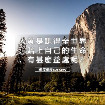Picture 05 - 馬 可 福 音 8:36 CUVT - 人 就 是 賺 得 全 世 界 ， 賠 上 自 - Bible Verse Picture