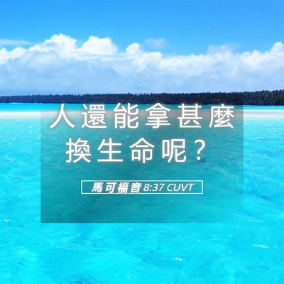 Picture 05 - 馬 可 福 音 8:37 CUVT - 人 還 能 拿 甚 麼 換 生 命 呢 - Bible Verse Picture