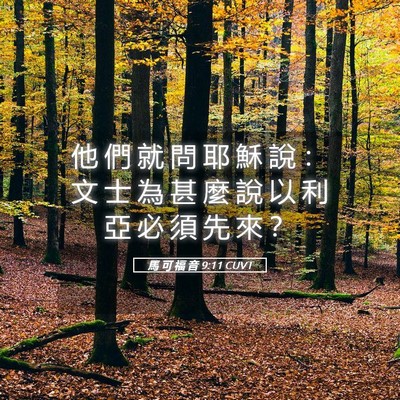 Picture 05 - 馬 可 福 音 9:11 CUVT - 他 們 就 問 耶 穌 說 ： 文 士 為 甚 - Bible Verse Picture